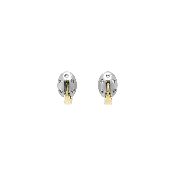 Earrings made of Combination Gold with Zirconias