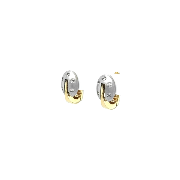 Earrings made of Combination Gold with Zirconias