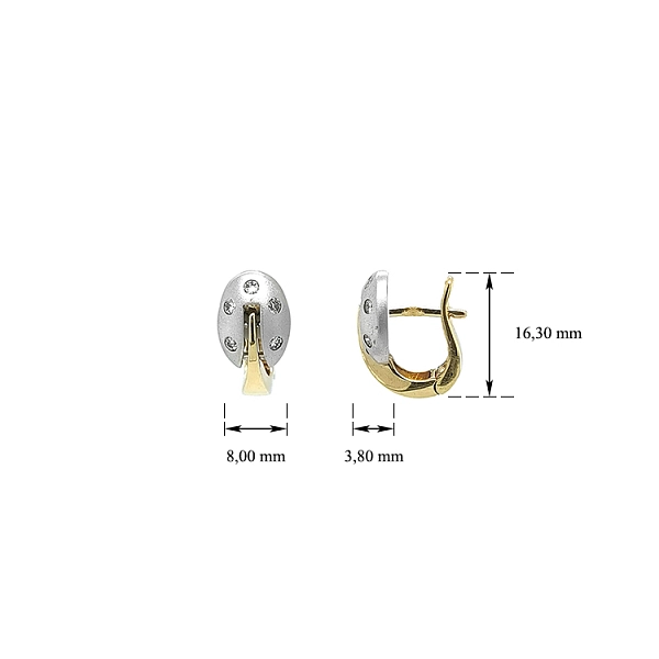 Earrings made of Combination Gold with Zirconias