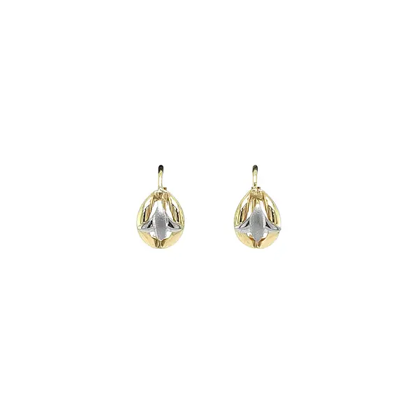 Earrings made of Combination Gold