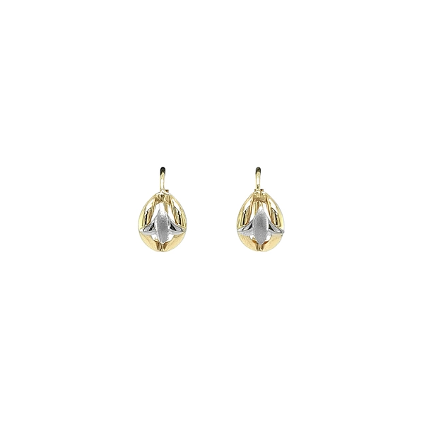 Earrings made of Combination Gold