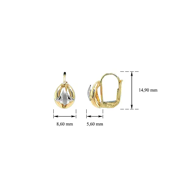Earrings made of Combination Gold