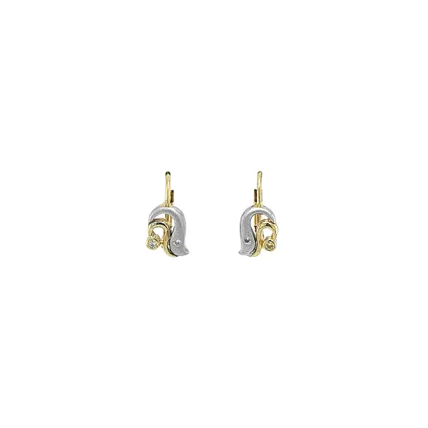 Earrings with Zircones in Gold