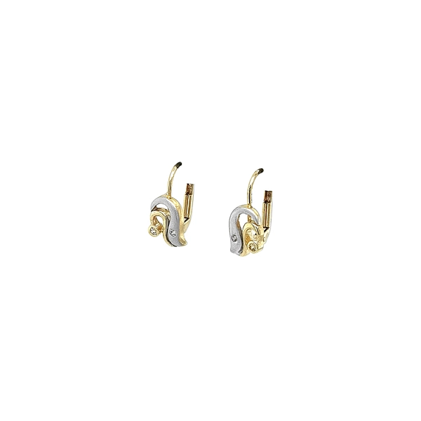 Earrings with Zircones in Gold