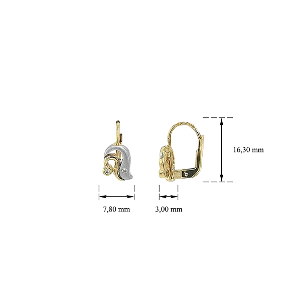 Earrings with Zircones in Gold