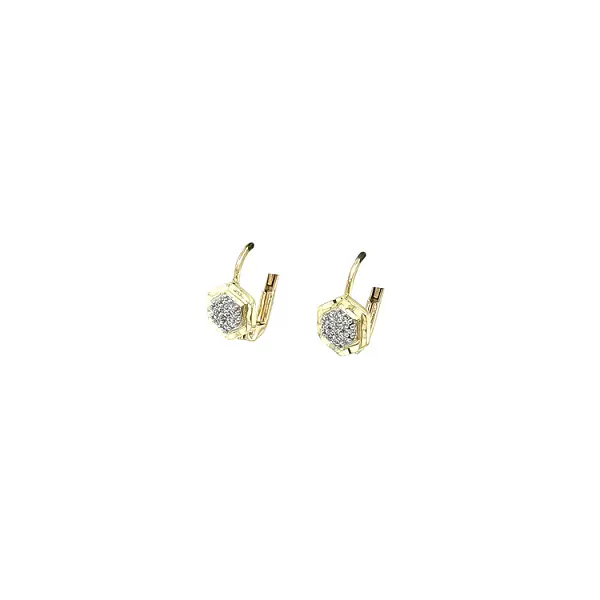 Gold Earrings with Zircons