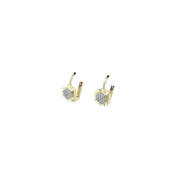 Gold Earrings with Zircons