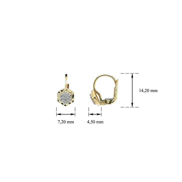 Gold Earrings with Zircons