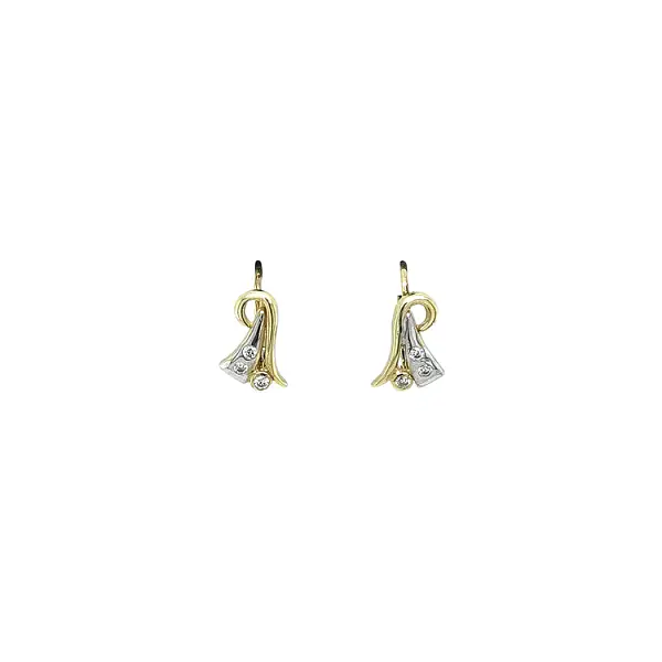 Earrings with Zircones in Gold