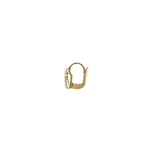 Earrings with Zircones in Gold