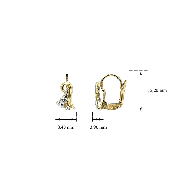 Earrings with Zircones in Gold