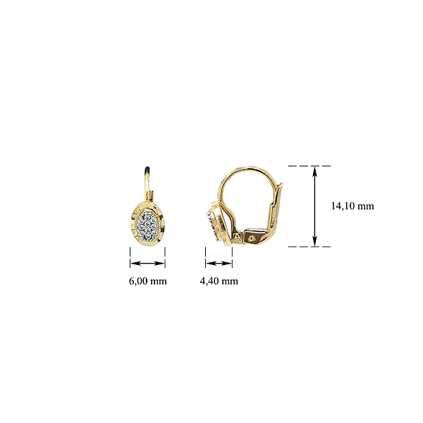 Gold Earrings with Zircons