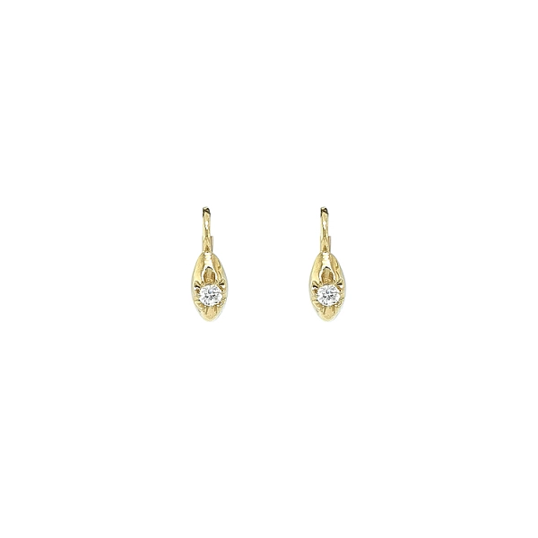 Gold Earrings with Zircons