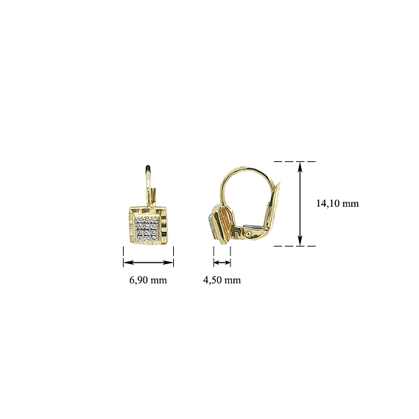 Gold Earrings with Zircons