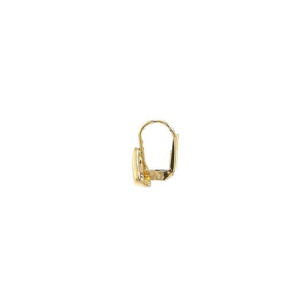 Gold Earrings with Zircons