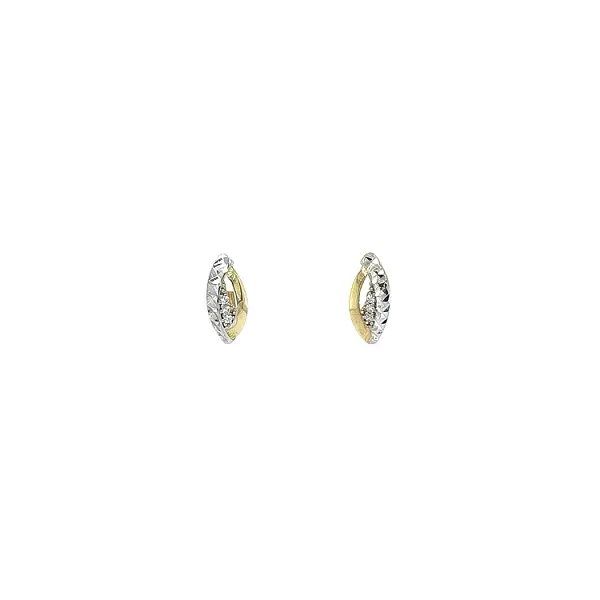Earrings with Zircones in Gold