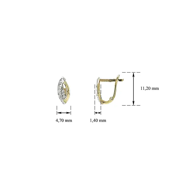 Earrings with Zircones in Gold