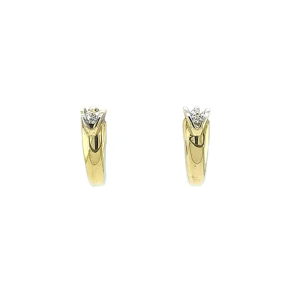 Gold Earrings with Zircons
