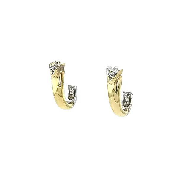 Gold Earrings with Zircons