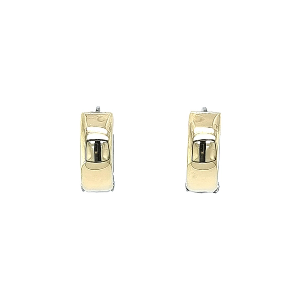 Round Earrings made of Combination Gold