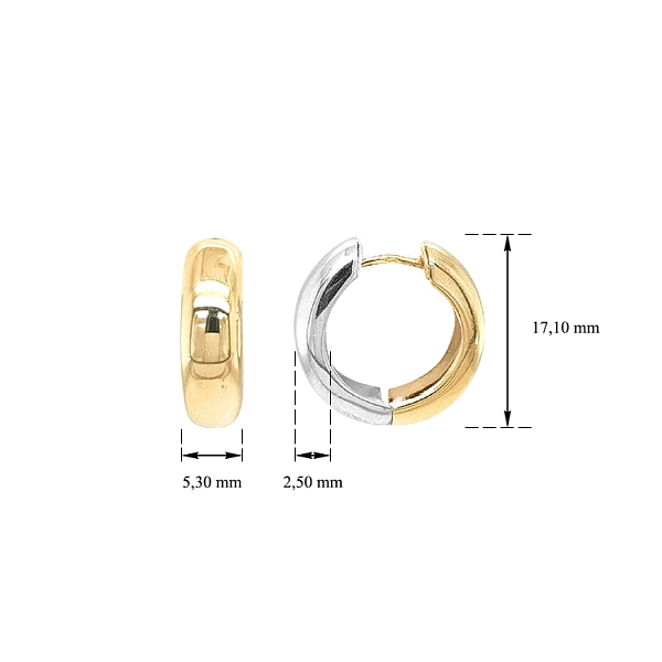 Gold Reversible Round Earrings