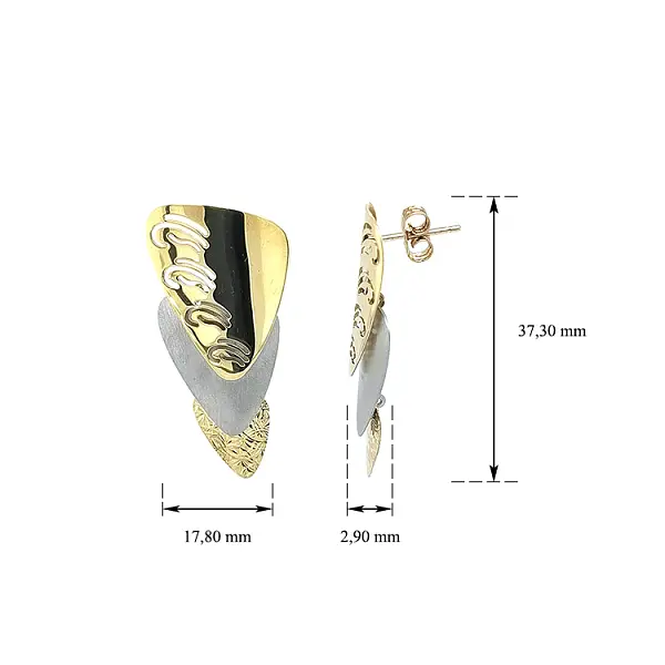 Cobminated Gold Earrings