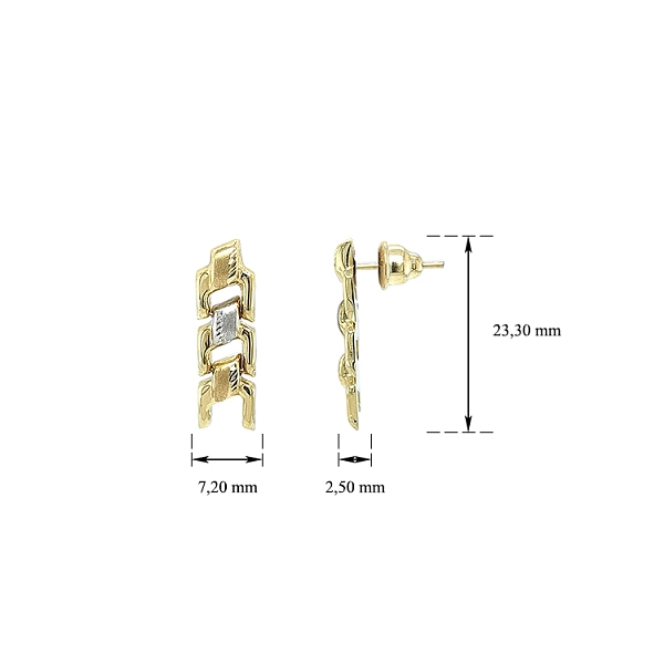 Earrings made of Combination Gold
