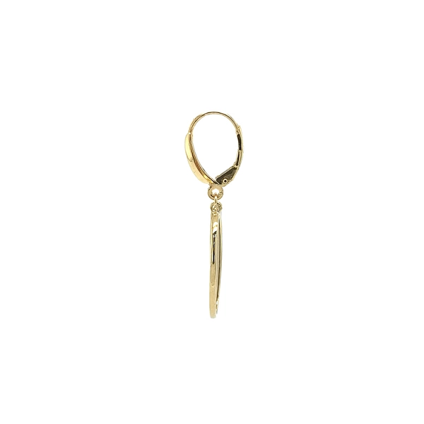 Gold dangle earrings