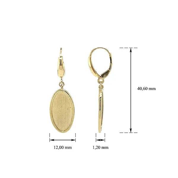 Gold dangle earrings