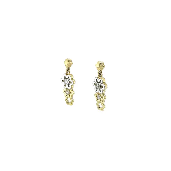 Earrings with Zircones in Gold