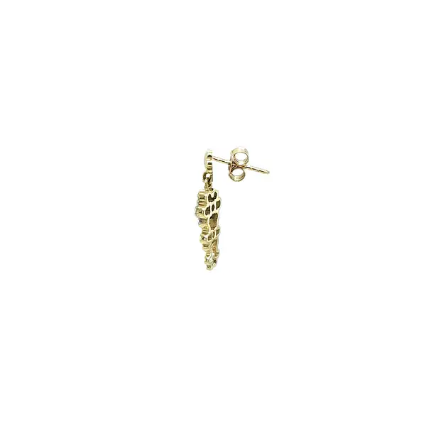 Earrings with Zircones in Gold