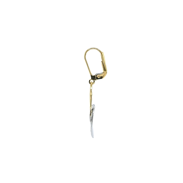 Earrings made of Combination Gold