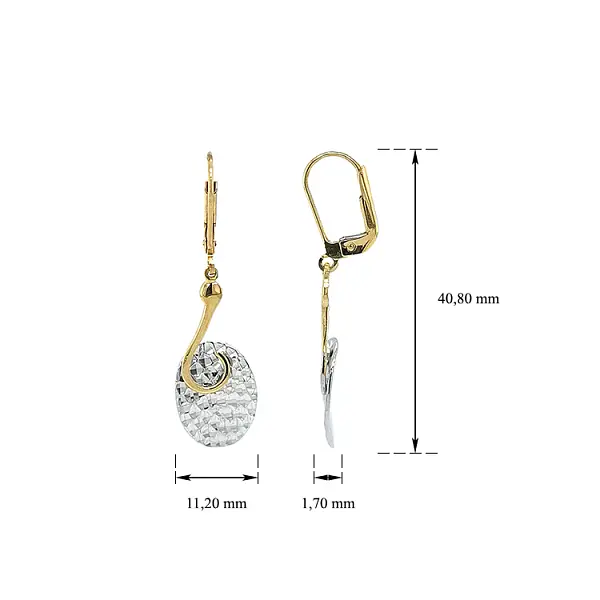 Earrings made of Combination Gold