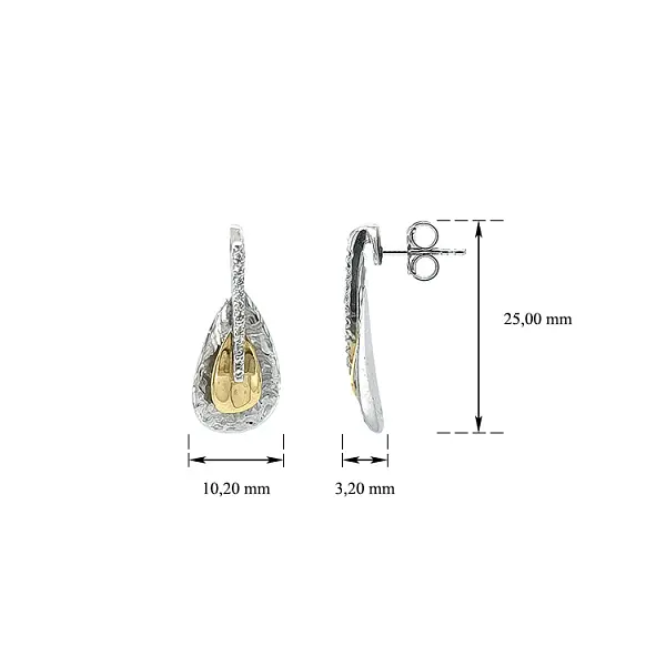 Earrings with Zircones in Gold