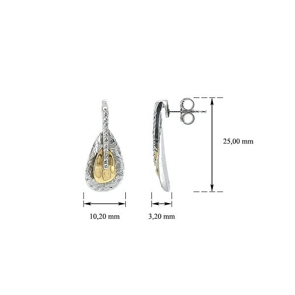 Earrings with Zircones in Gold