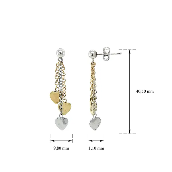 Earrings made of Combination Gold