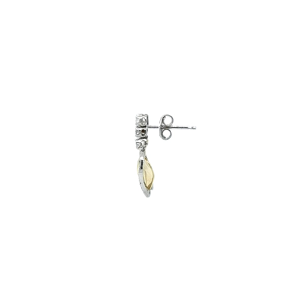 Pendant Earrings Heart with Zircones