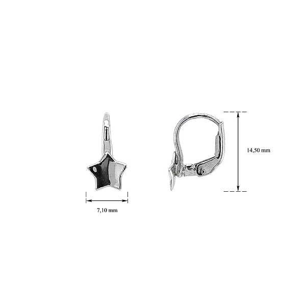 Earrings Starfish from White Gold