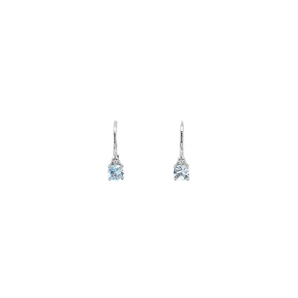 White Gold Topaz Earrings