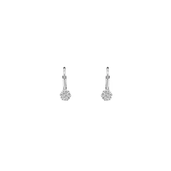 Earrings with White Gold Zircons