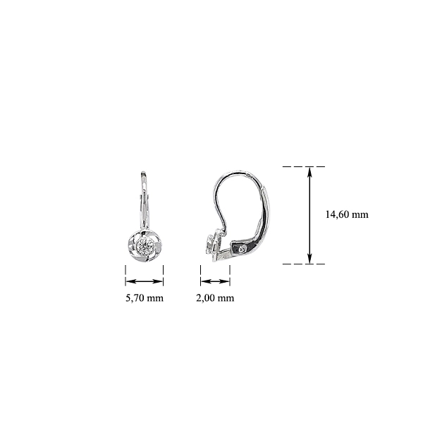 Earrings with White Gold Zircons