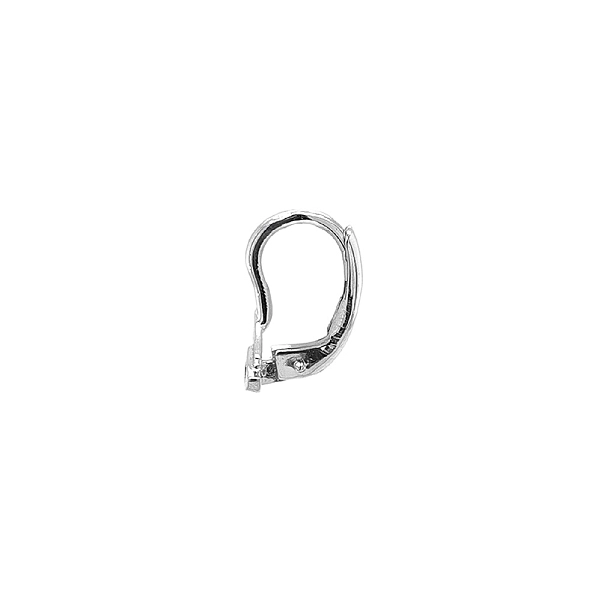 Earrings with White Gold Zircons