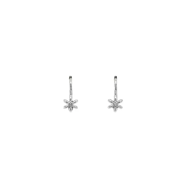 Earrings with White Gold Zircons