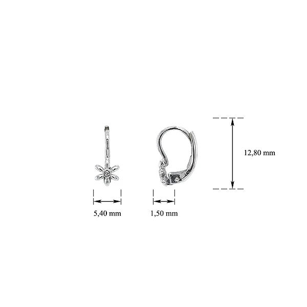 Earrings with White Gold Zircons