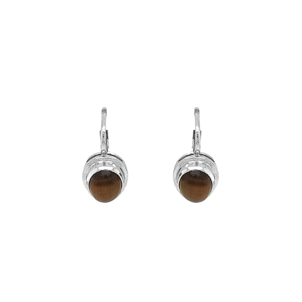 Gold Earrings with Tiger Eye