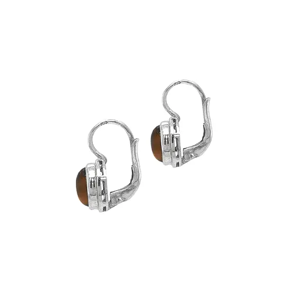 Gold Earrings with Tiger Eye