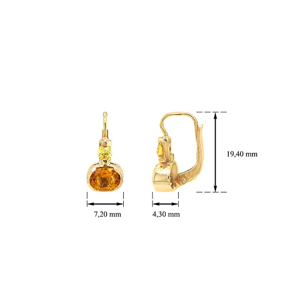 Gold Earrings with Zircons