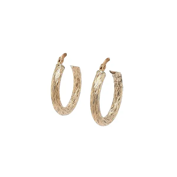 Elegant Gold Hoop Earrings