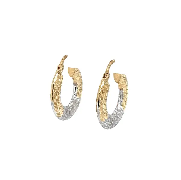 Elegant Two-Tone Gold Hoop Earrings