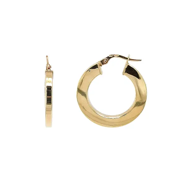Elegant Gold Hoop Earrings